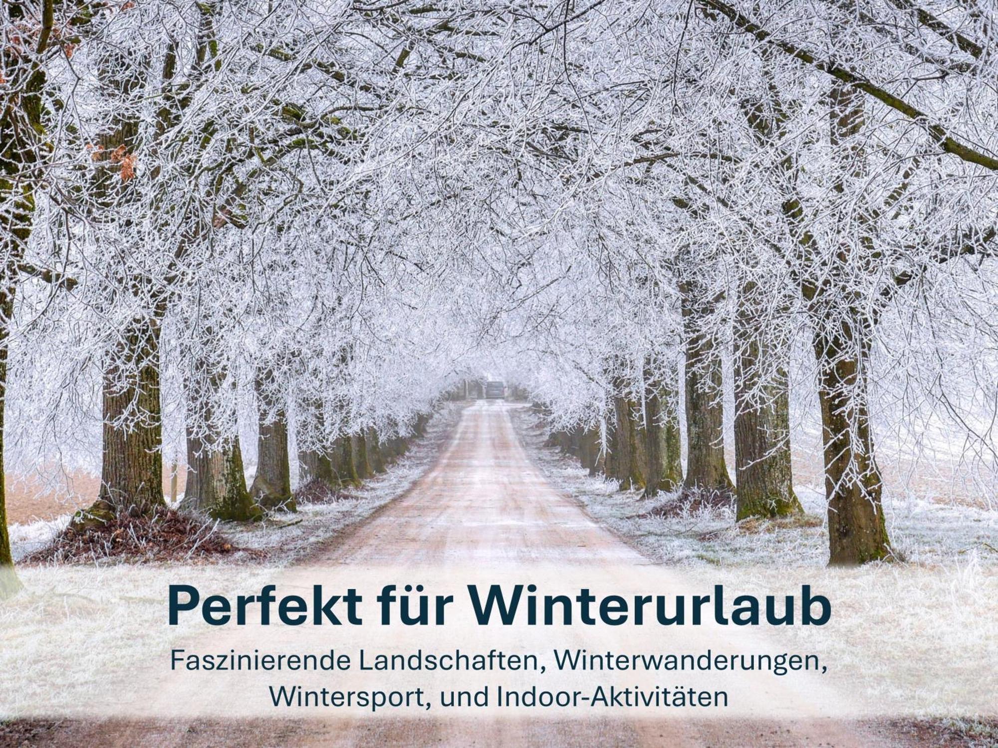 Zinnowitz, Paradies Am Wald - Wg 05 エクステリア 写真