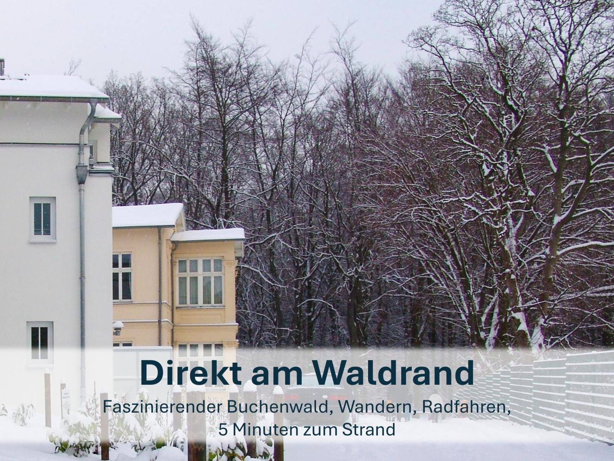 Zinnowitz, Paradies Am Wald - Wg 05 エクステリア 写真